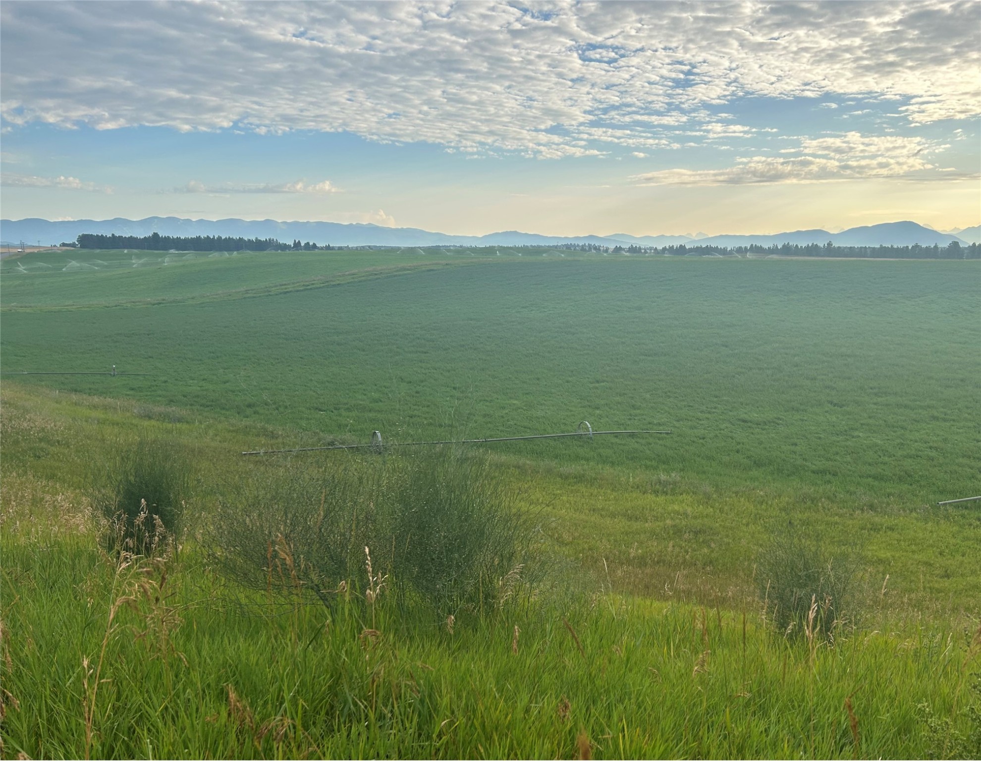 Kalispell, Montana 59901, United States, 3 Bedrooms Bedrooms, ,3 BathroomsBathrooms,Residential,Active,185687