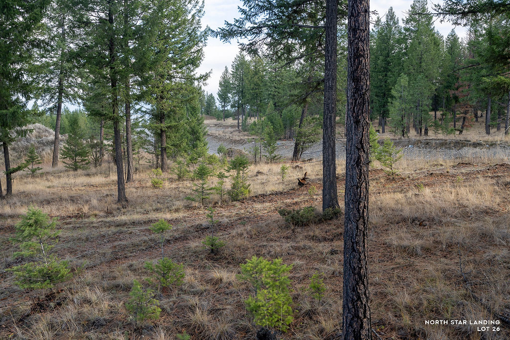 Lot 26 Origin Lane