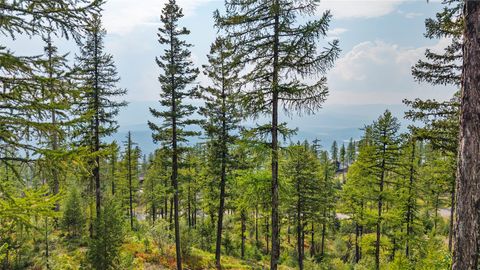 Tiny photo for 485 Elk Highlands Drive, Whitefish, MT 59937 (MLS # 30069109)