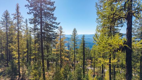 Tiny photo for 485 Elk Highlands Drive, Whitefish, MT 59937 (MLS # 30069109)