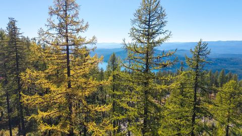 Tiny photo for 485 Elk Highlands Drive, Whitefish, MT 59937 (MLS # 30069109)