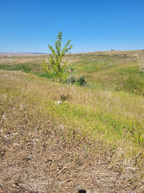 Photo of 148 Internet Access, Roberts, MT 59070 (MLS # 30079715)