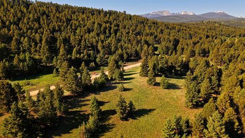 Tiny photo for NHN Lot 8 Phase 3A Dolus Lakes Road, Deer Lodge, MT 59722 (MLS # 30069535)