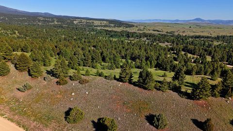 Tiny photo for NHN Lot 8 Phase 3A Dolus Lakes Road, Deer Lodge, MT 59722 (MLS # 30069535)
