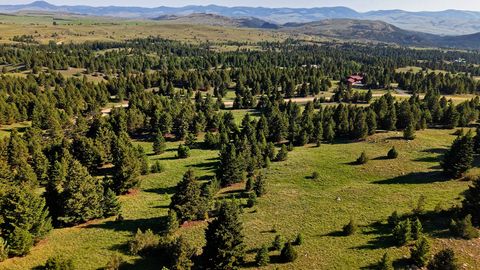 Tiny photo for NHN Lot 8 Phase 3A Dolus Lakes Road, Deer Lodge, MT 59722 (MLS # 30069535)