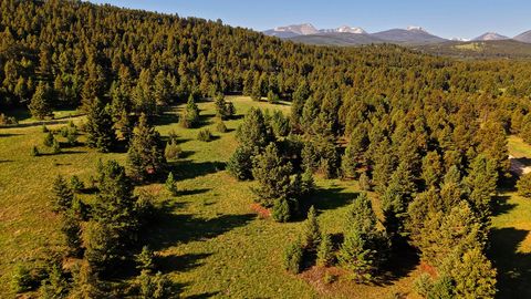 Tiny photo for NHN Lot 8 Phase 3A Dolus Lakes Road, Deer Lodge, MT 59722 (MLS # 30069535)