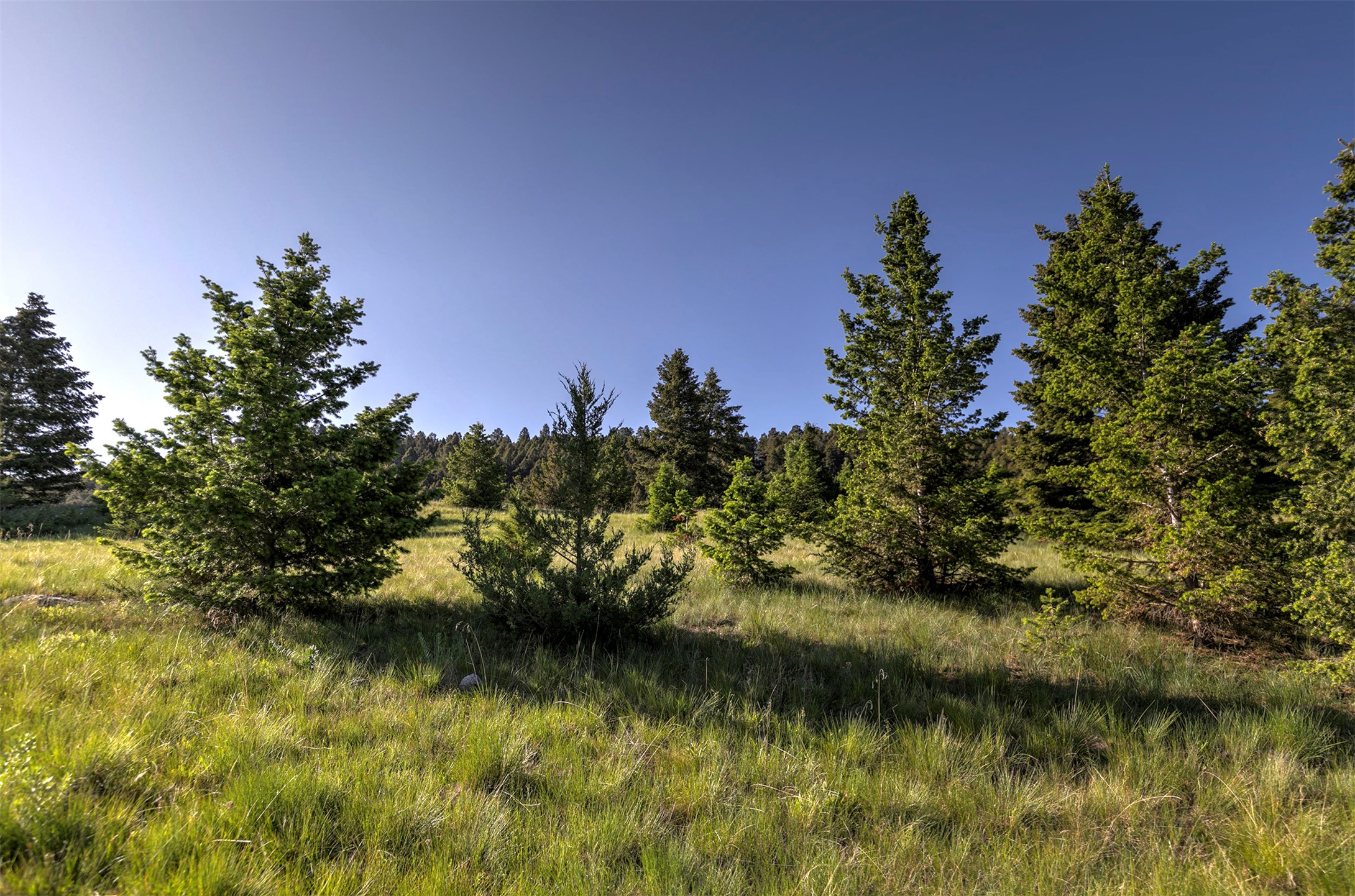 NHN Lot 8 Phase 3A Dolus Lakes Road