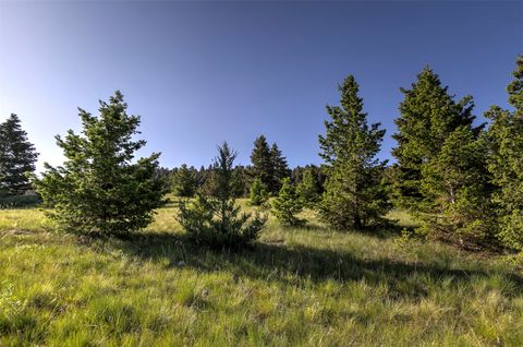 Tiny photo for NHN Lot 8 Phase 3A Dolus Lakes Road, Deer Lodge, MT 59722 (MLS # 30069535)