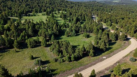 Tiny photo for NHN Lot 8 Phase 3A Dolus Lakes Road, Deer Lodge, MT 59722 (MLS # 30069535)