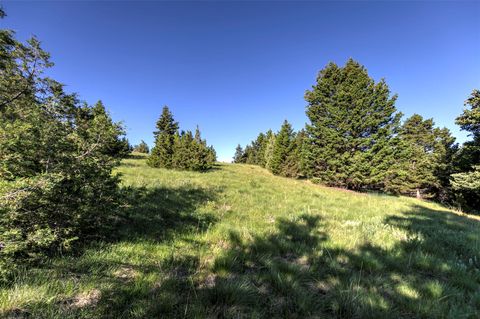 Tiny photo for NHN Lot 8 Phase 3A Dolus Lakes Road, Deer Lodge, MT 59722 (MLS # 30069535)