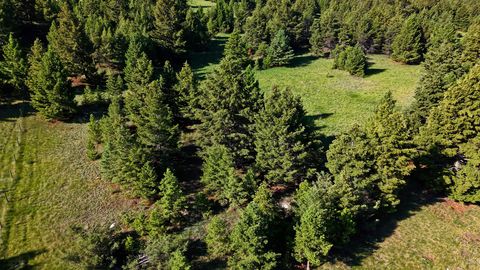 Tiny photo for NHN Lot 8 Phase 3A Dolus Lakes Road, Deer Lodge, MT 59722 (MLS # 30069535)