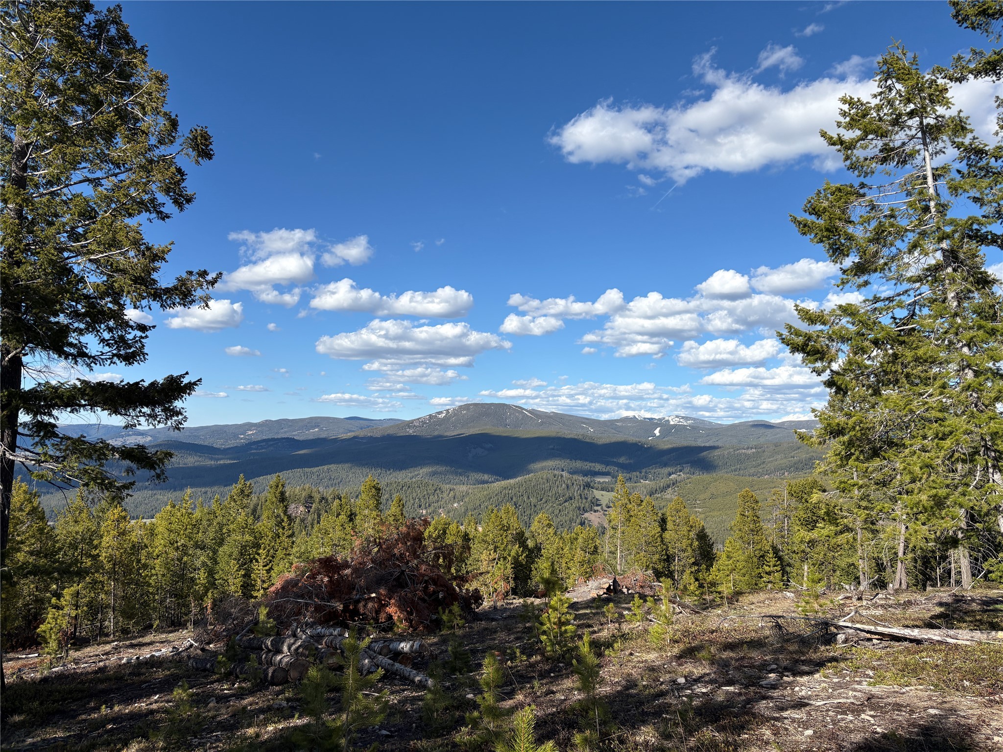 NHN Trapper Ridge