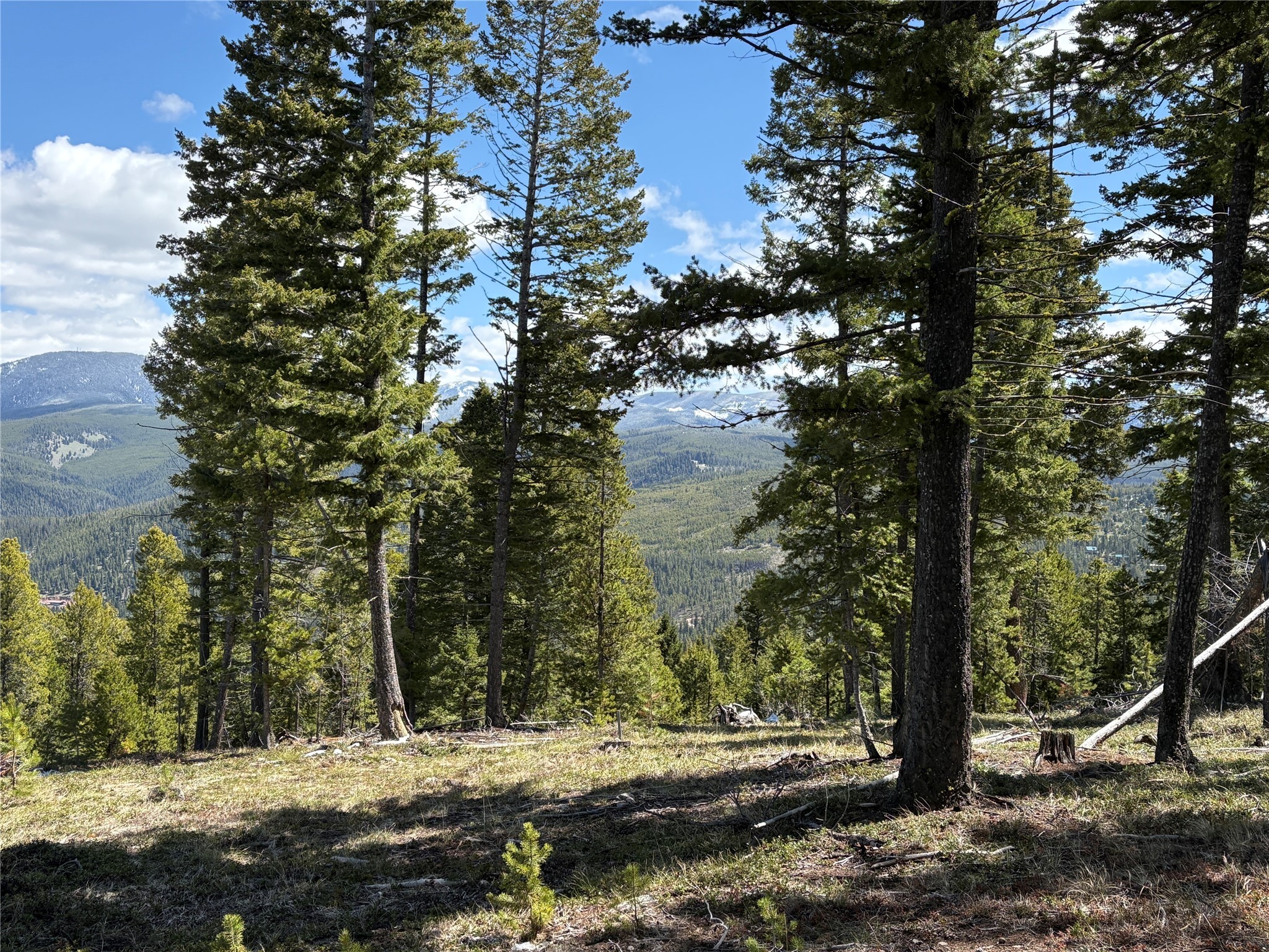 NHN Trapper Ridge