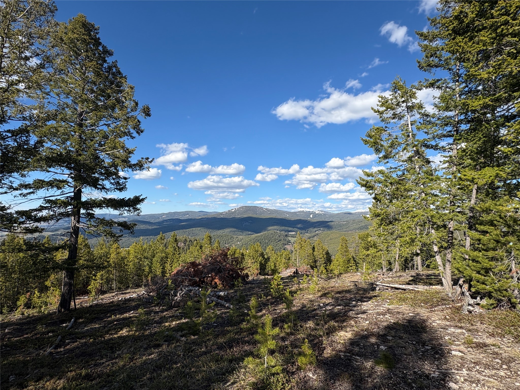NHN Trapper Ridge