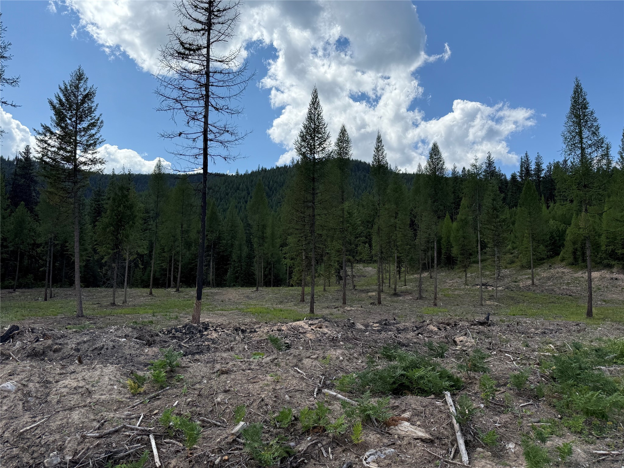 TBD Lot 10 north Schreiber Lake Subdivision