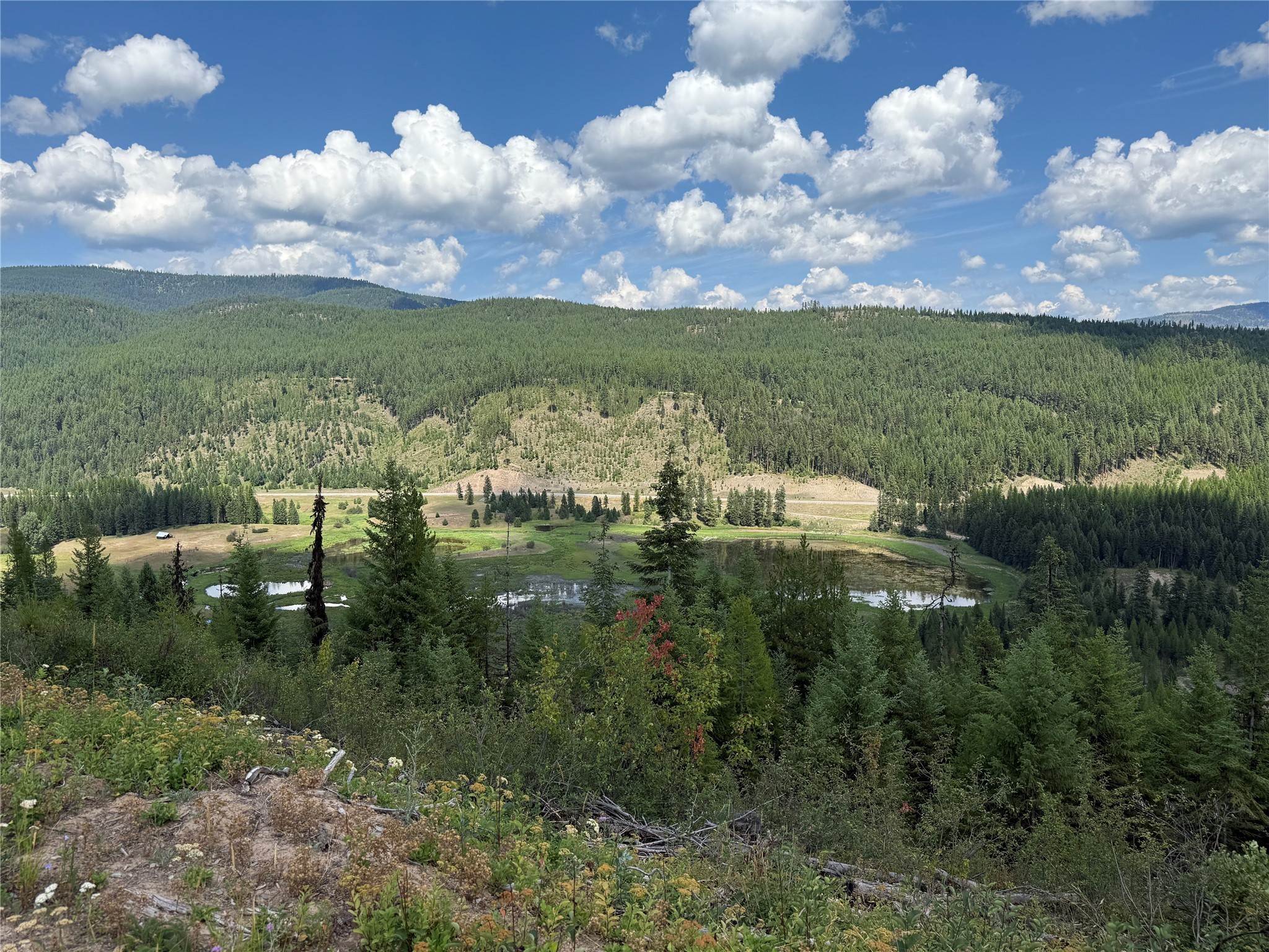 TBD Lot 10 north Schreiber Lake Subdivision