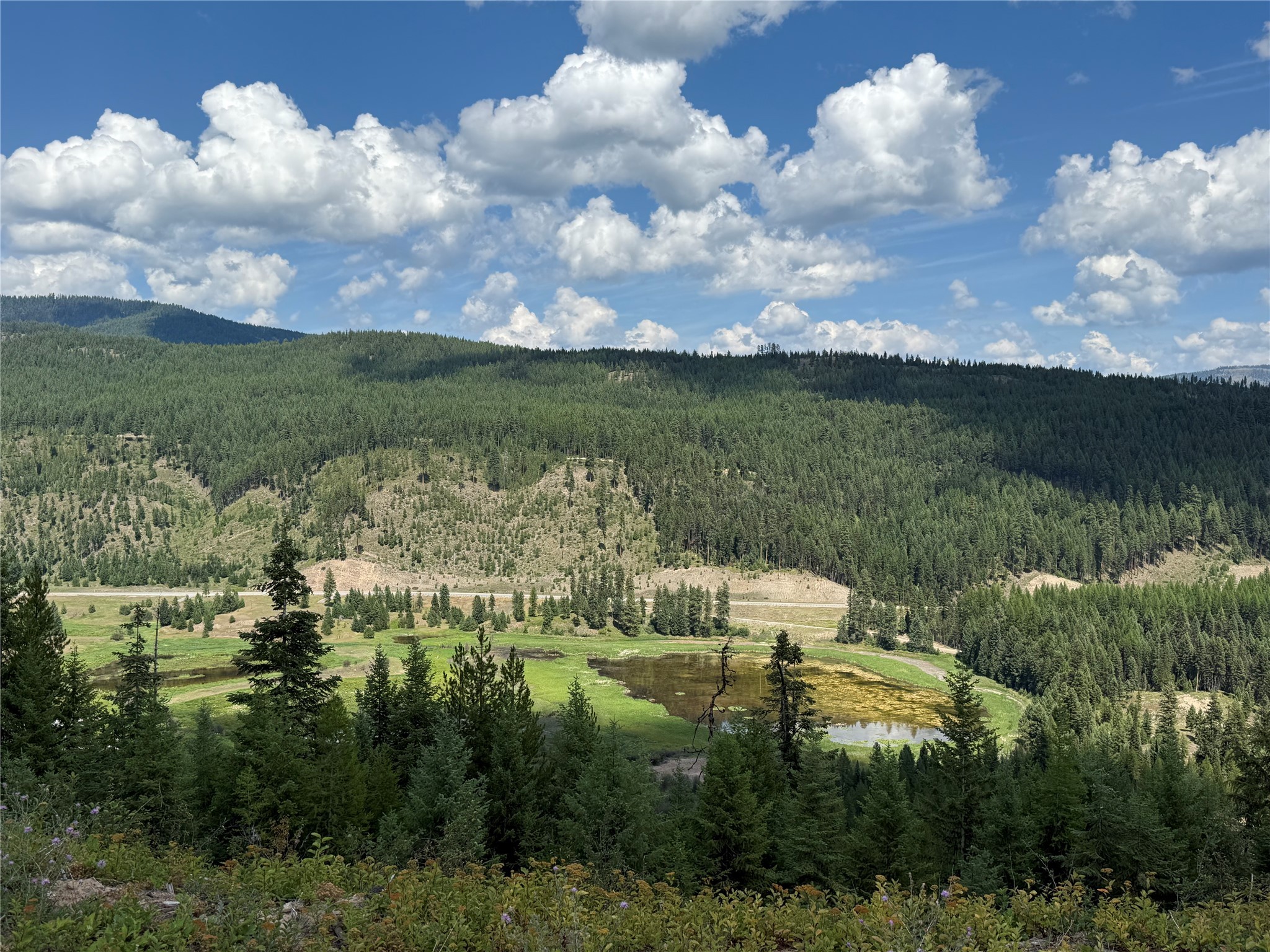 TBD Lot 10 north Schreiber Lake Subdivision