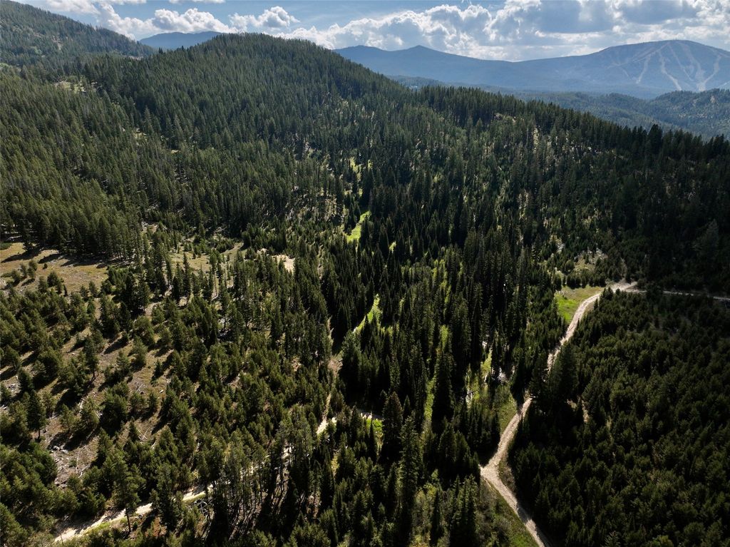 Photo of NHN Bell Trail - Young America Lode, Philipsburg, MT 59858 (MLS # 30066780)