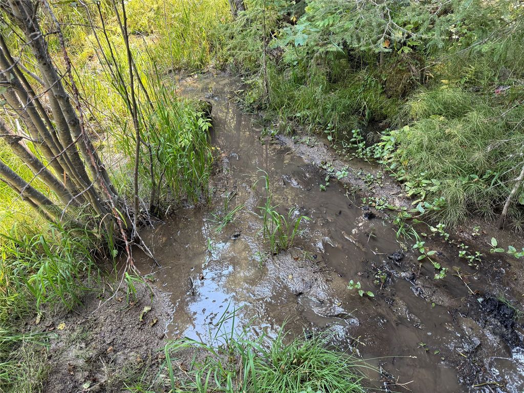 Photo of NHN Bell Trail - Young America Lode, Philipsburg, MT 59858 (MLS # 30066780)