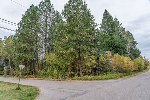 Tiny photo for 36 13th Street E, Columbia Falls, MT 59912 (MLS # 30060525)