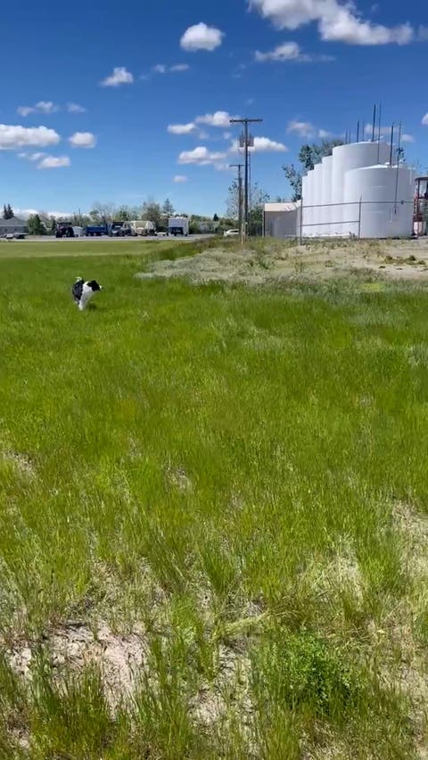 Tiny photo for 820 Teton Avenue, Valier, MT 59486 (MLS # 30072681)