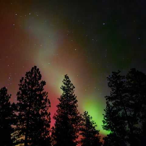 Tiny photo for 3410 Ray Mountain Road, Darby, MT 59829 (MLS # 30071143)