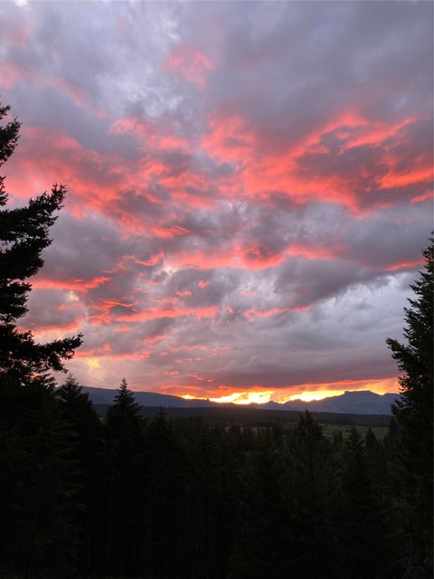 Tiny photo for 3410 Ray Mountain Road, Darby, MT 59829 (MLS # 30071143)