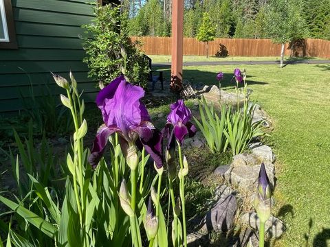 Tiny photo for 2075 Lion Mountain Loop Road, Whitefish, MT 59937 (MLS # 30069254)
