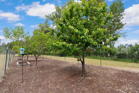 Tiny photo for 1398 Waters Edge Way, Columbia Falls, MT 59912 (MLS # 30064731)