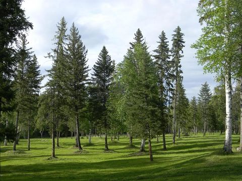 Tiny photo for 5379 Flathead Ranch Road, Columbia Falls, MT 59912 (MLS # 30071341)