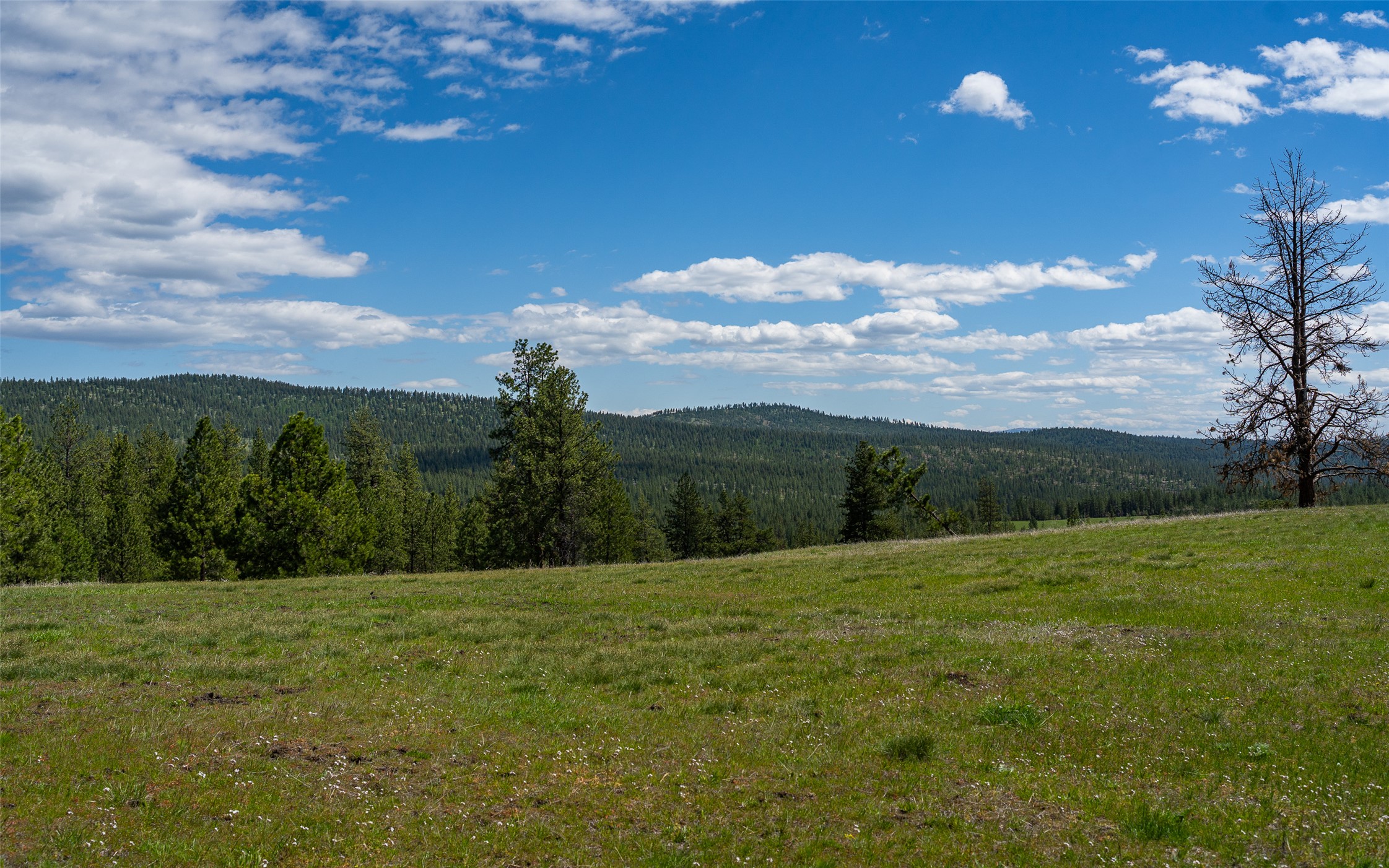 3145 Hubbart Dam Road