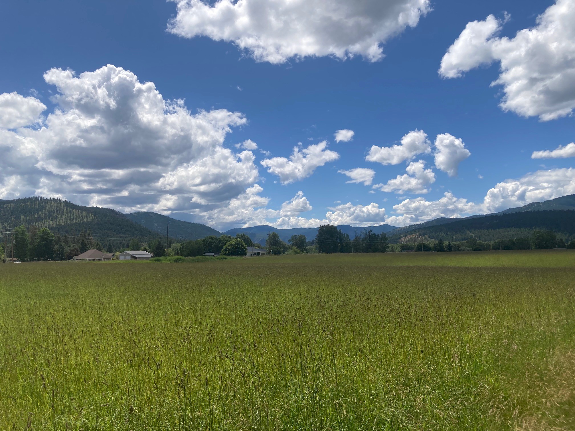 Lot 3 Huson Road