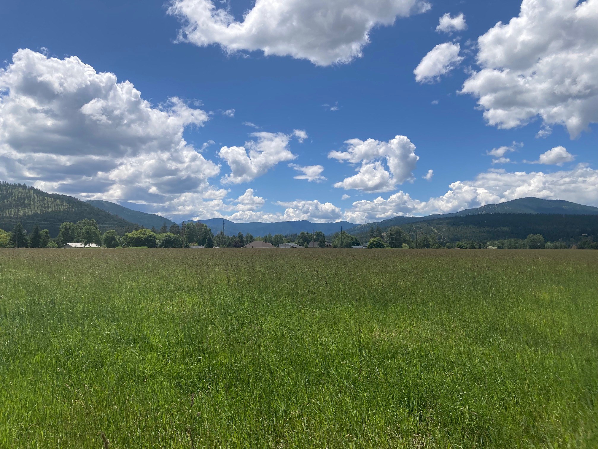Lot 3 Huson Road