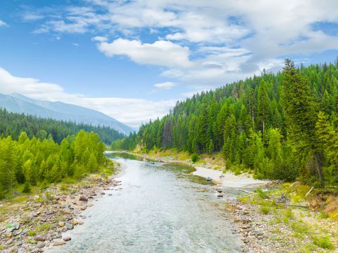 Tiny photo for 14715 Us Highway 2 E, Essex, MT 59916 (MLS # 30071180)