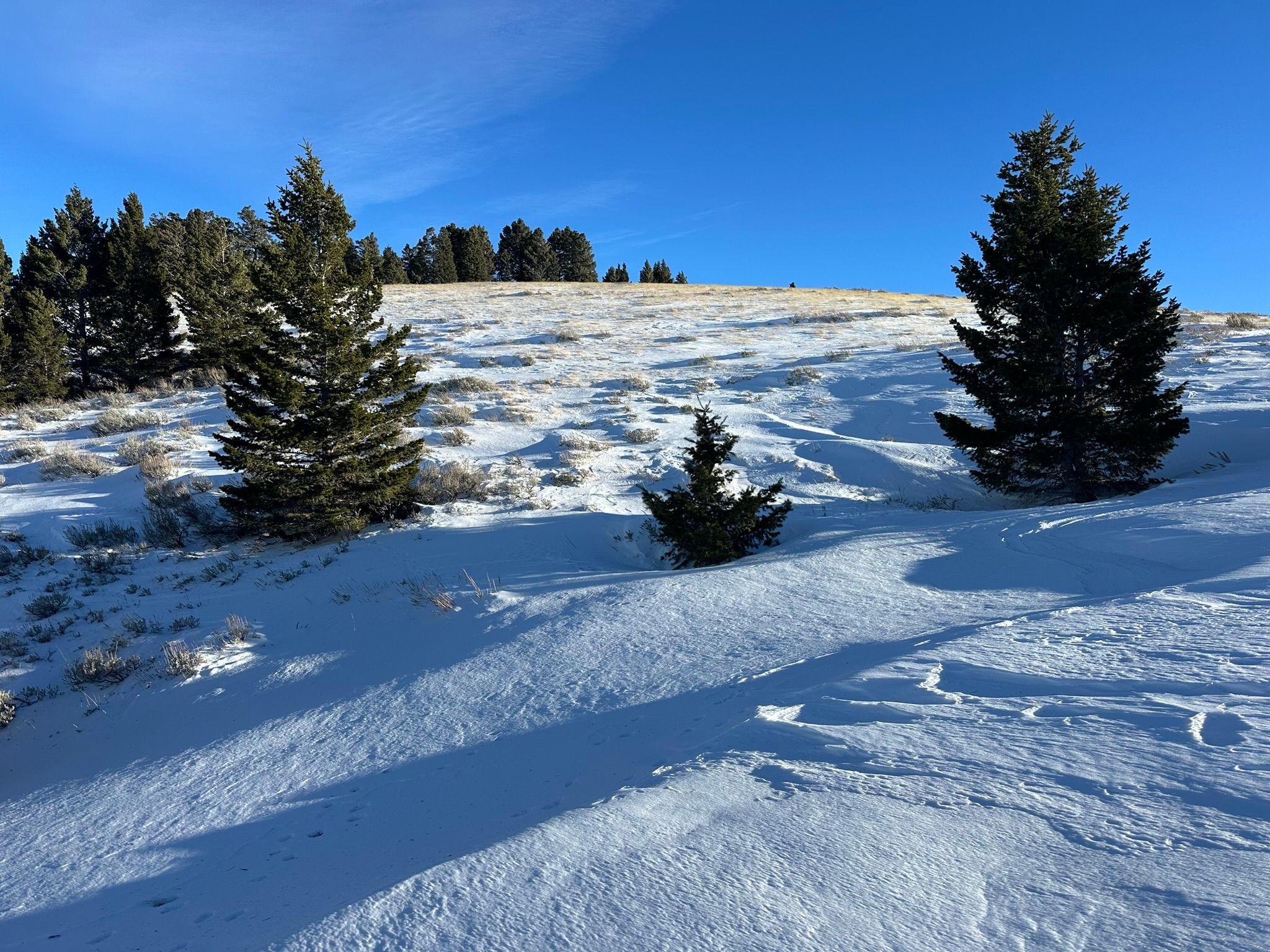 116 Mountainview Trail