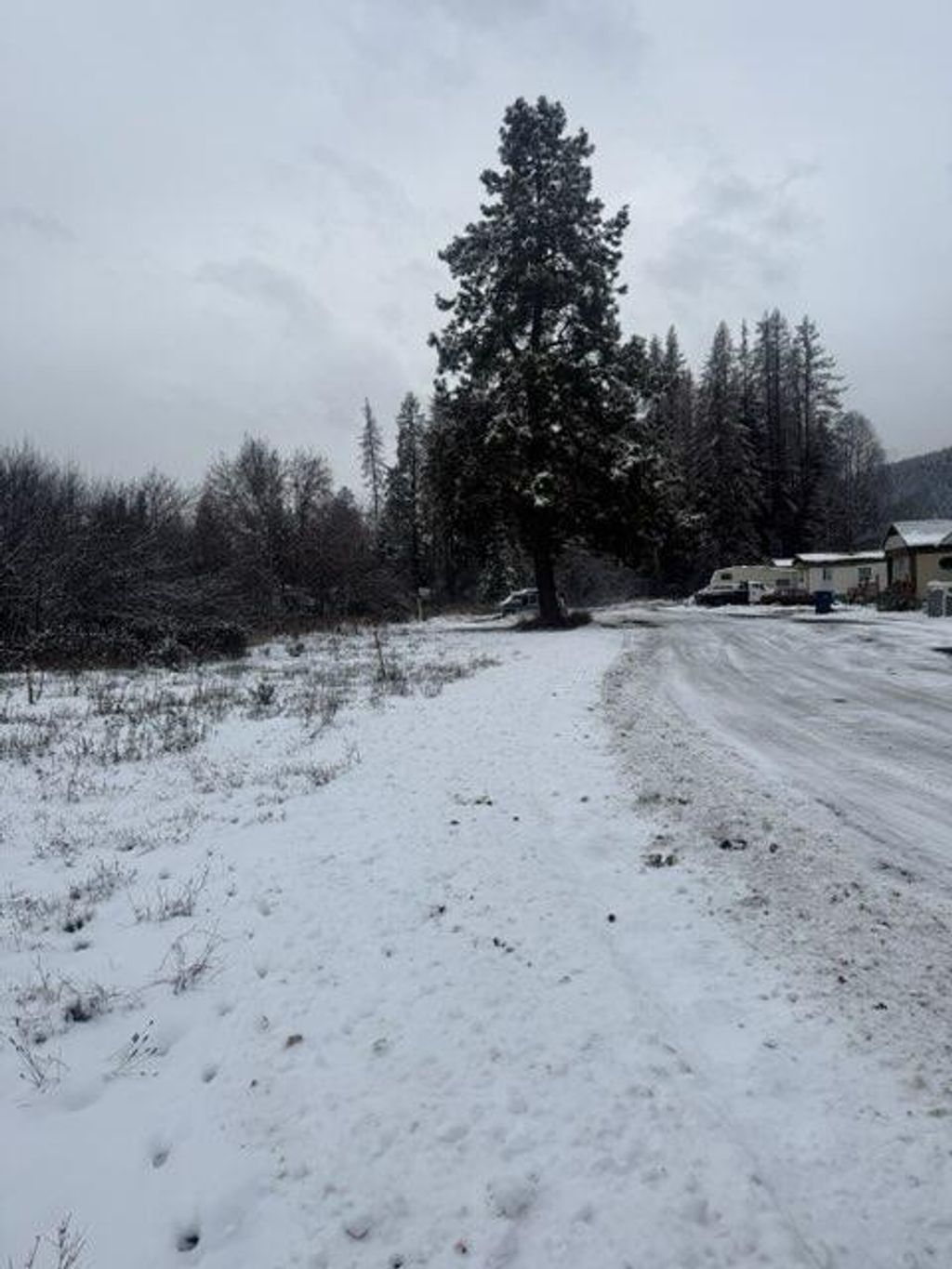 Photo of 19 Hartman Lane, Libby, MT 59923 (MLS # 30062079)