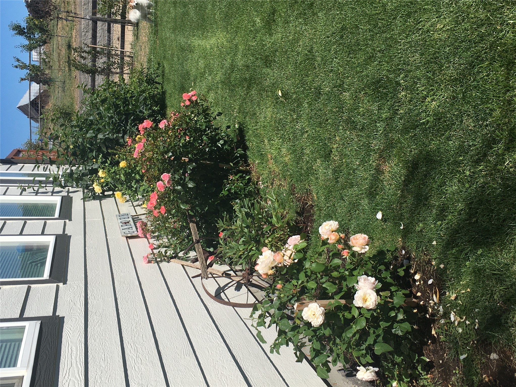 Stevensville, Montana 59870, United States, 3 Bedrooms Bedrooms, ,2 BathroomsBathrooms,Residential,Active,133646