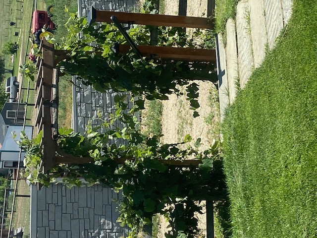 Stevensville, Montana 59870, United States, 3 Bedrooms Bedrooms, ,2 BathroomsBathrooms,Residential,Active,133646