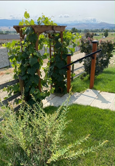 Stevensville, Montana 59870, United States, 3 Bedrooms Bedrooms, ,2 BathroomsBathrooms,Residential,Active,133646