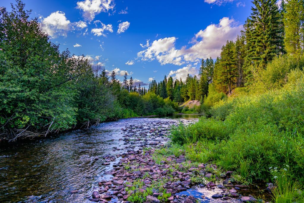 Photo of 002 Route 83, Seeley Lake, MT 59868 (MLS # 30065788)
