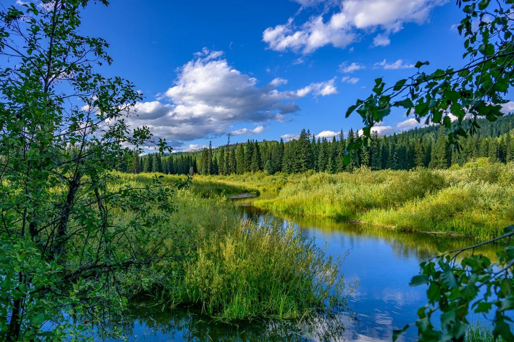 Photo of 002 Route 83, Seeley Lake, MT 59868 (MLS # 30065788)