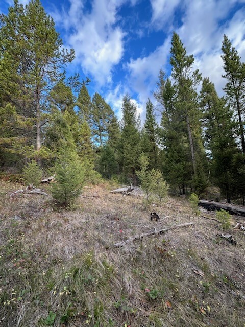 Lot 10 Black Pine Meadows Subdivision