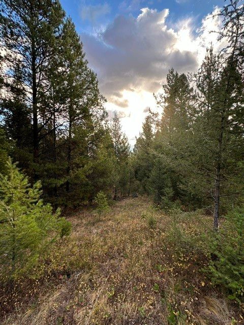 Lot 10 Black Pine Meadows Subdivision Philipsburg MT 59858