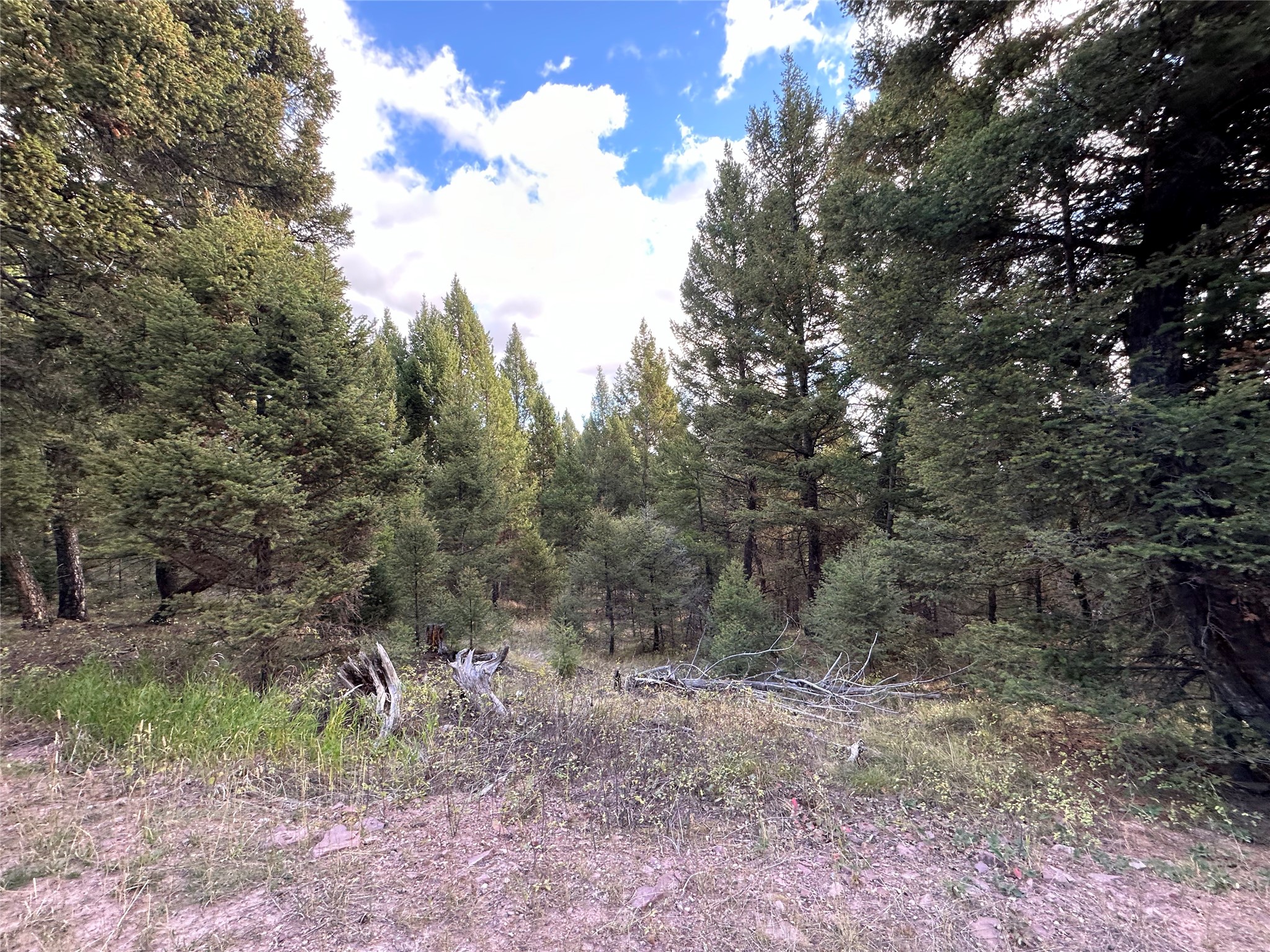 Lot 10 Black Pine Meadows Subdivision