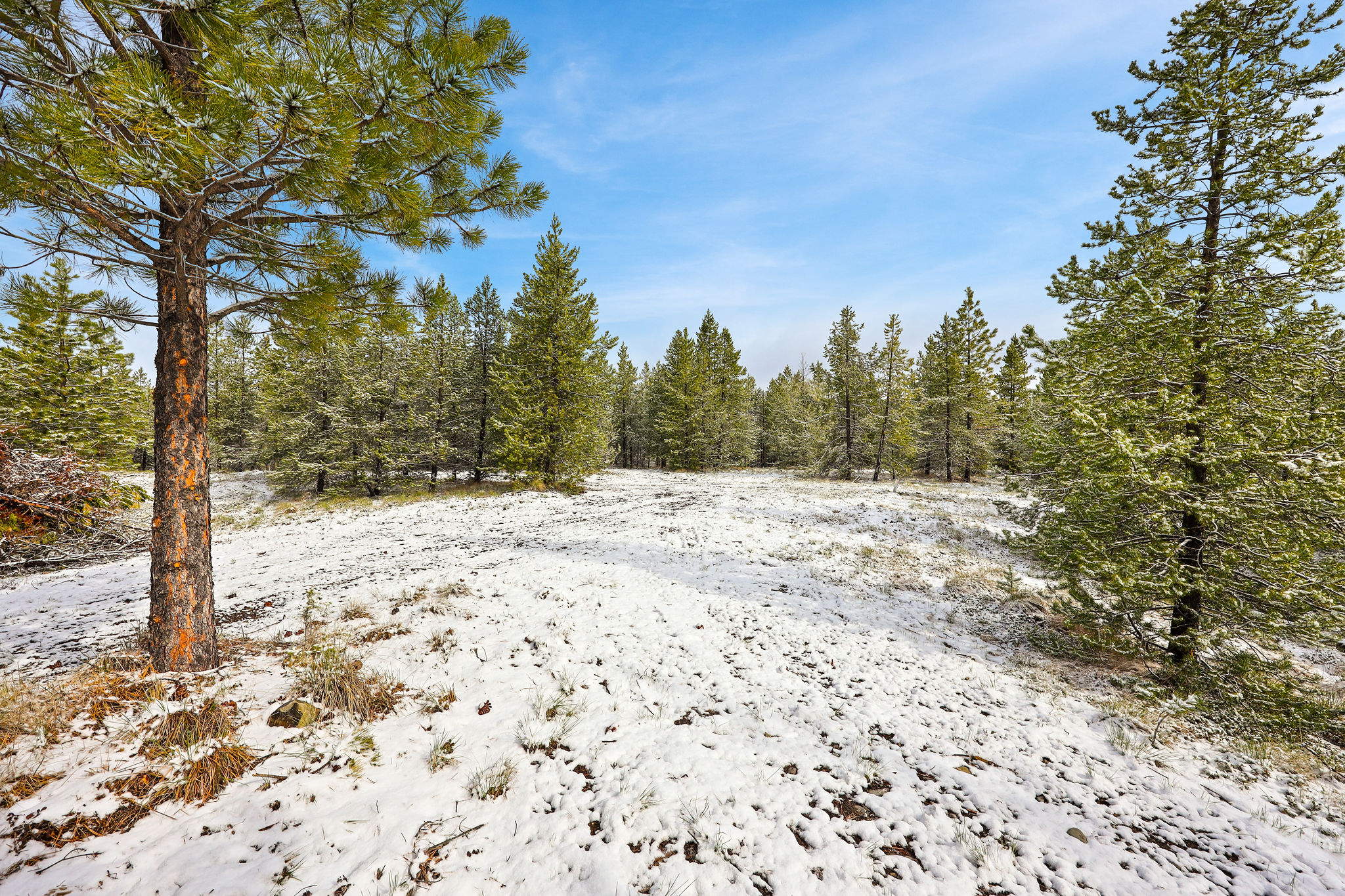 156 Badger Hollow Trail