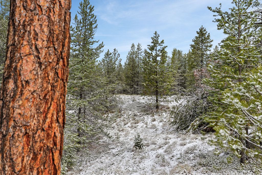 Photo of 156 Badger Hollow Trail, Marion, MT 59925 (MLS # 30069536)