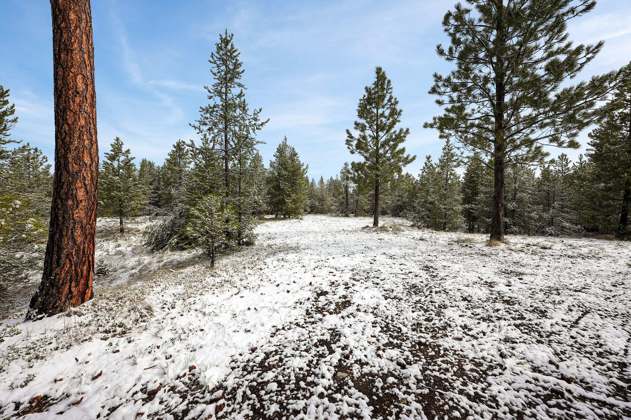 156 Badger Hollow Trail