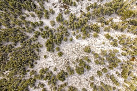 Tiny photo for 156 Badger Hollow Trail, Marion, MT 59925 (MLS # 30069536)