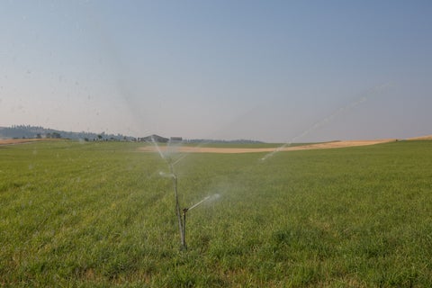 Tiny photo for 1018 Majestic Pine Place, Stevensville, MT 59870 (MLS # 30076388)