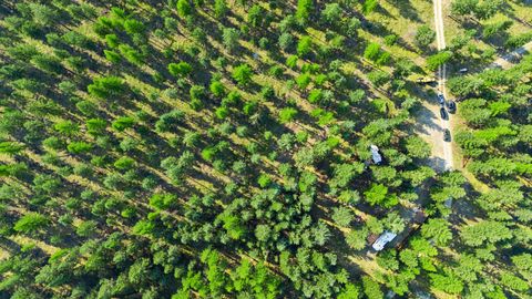 Tiny photo for 227 Elk Trail, Eureka, MT 59917 (MLS # 30069215)